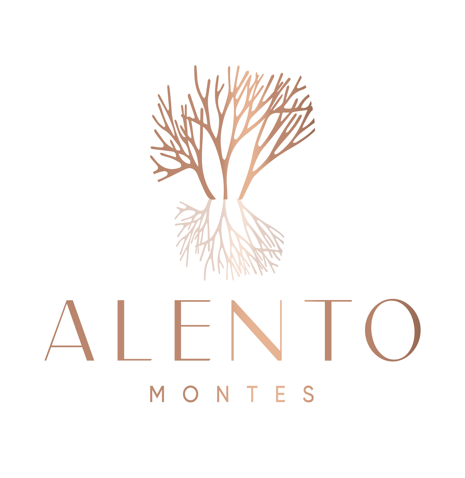 Logo ALENTO 01